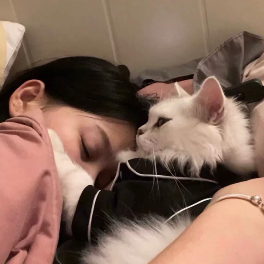 姓李的亮亮