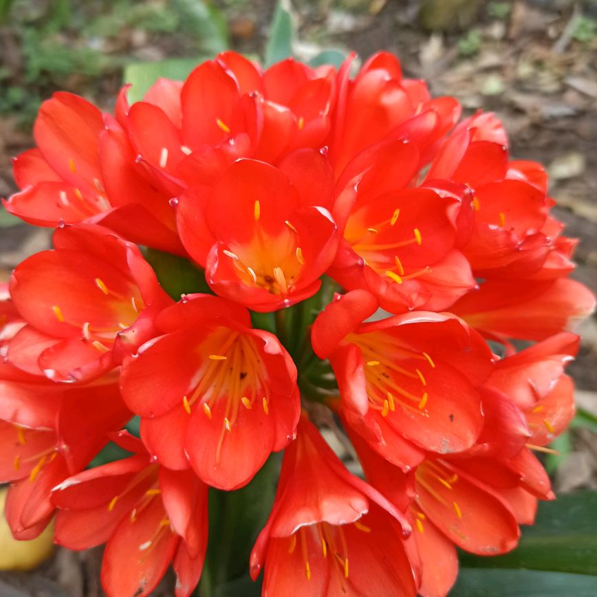 幽默搞笑带情感歌曲1143252358