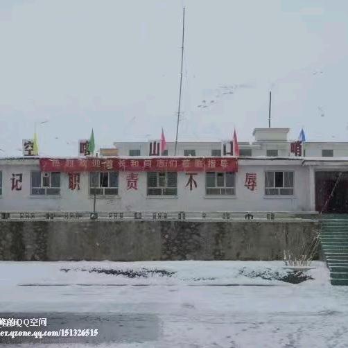 踏雪归来