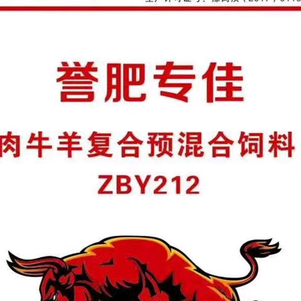 光光也说牛