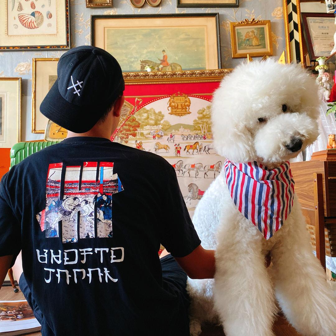 老陈的中古丝巾收藏