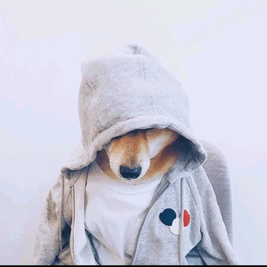 ıllı𝒖𝒏𝒊𝒒𝒖𝒆ıllı