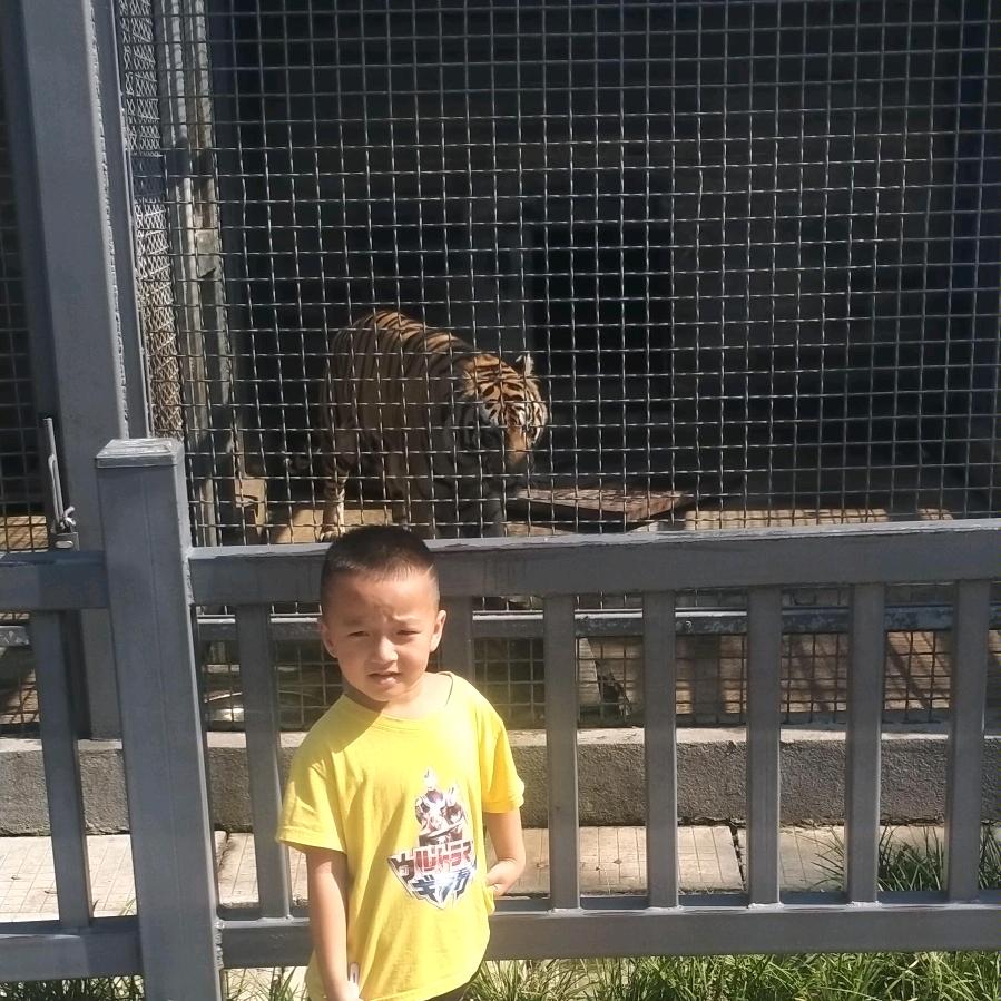 曲阜市曹华农机专业合作社