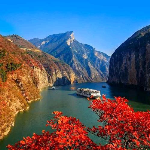 三峡诗橙(奉节特产)