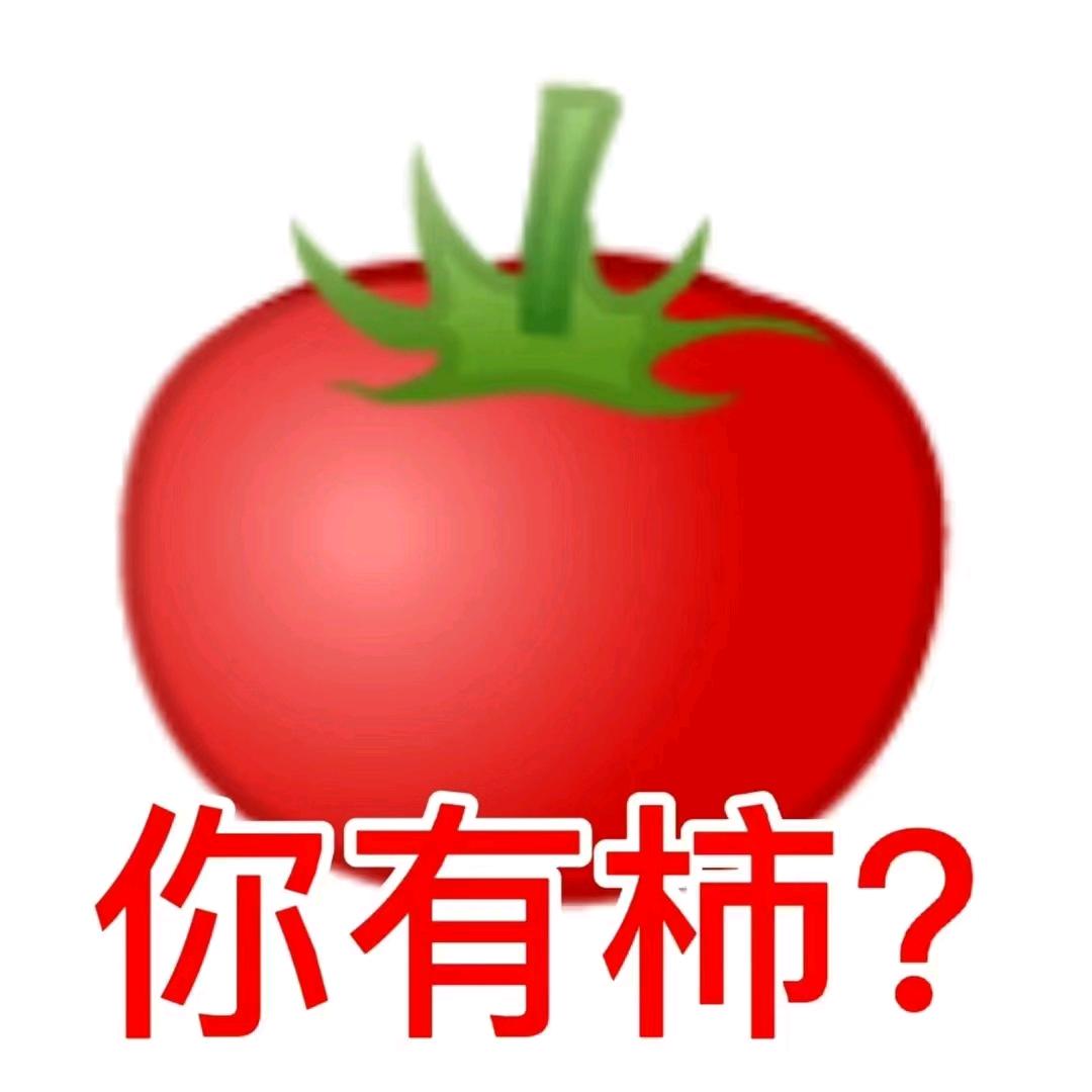 立风飒子