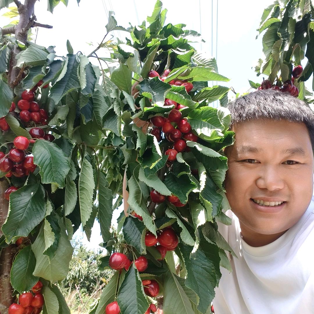 王育大樱桃