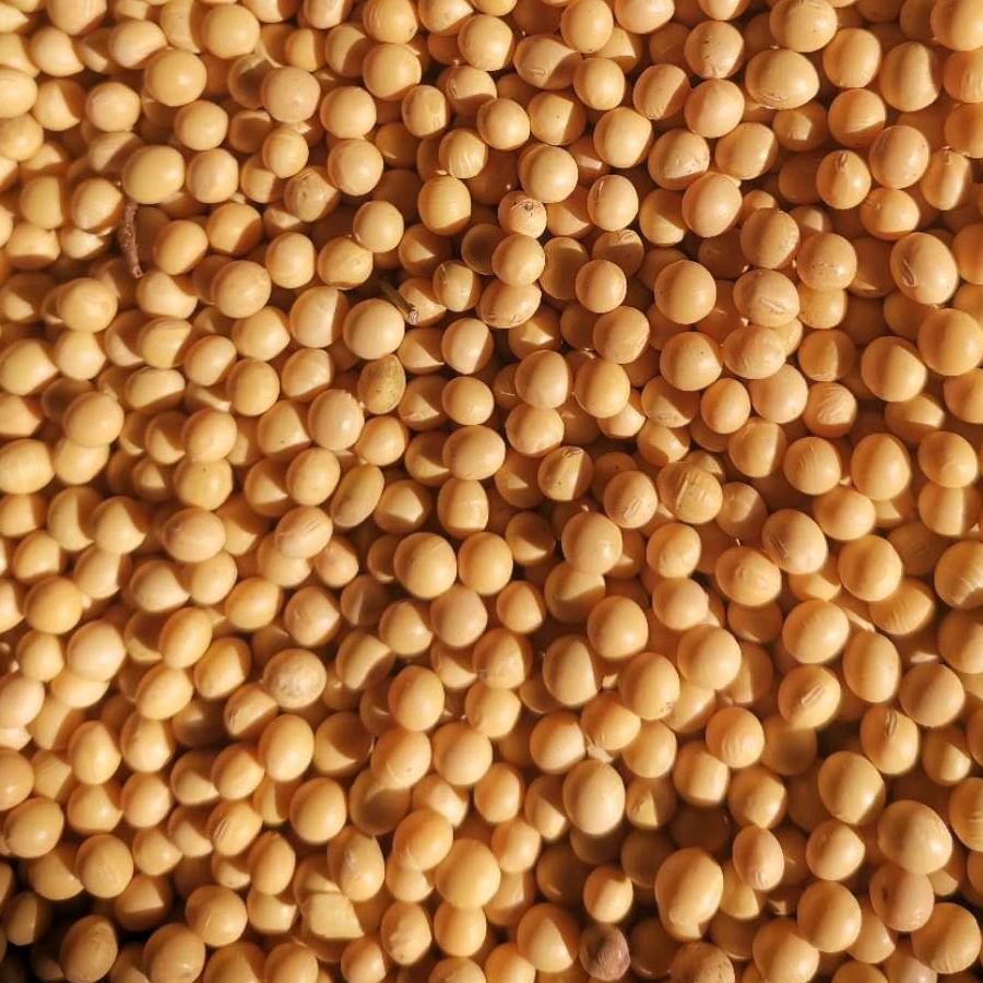 呼玛县鑫昌粮贸