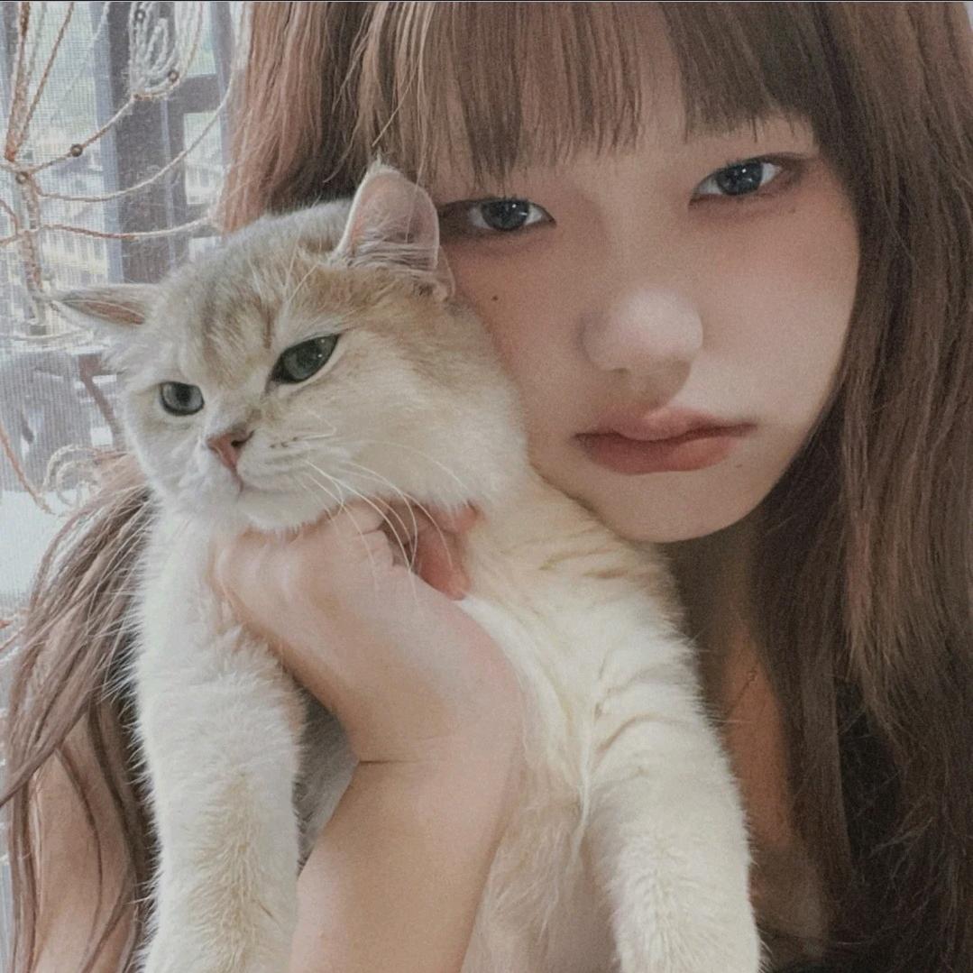 痴情小白兔🐰