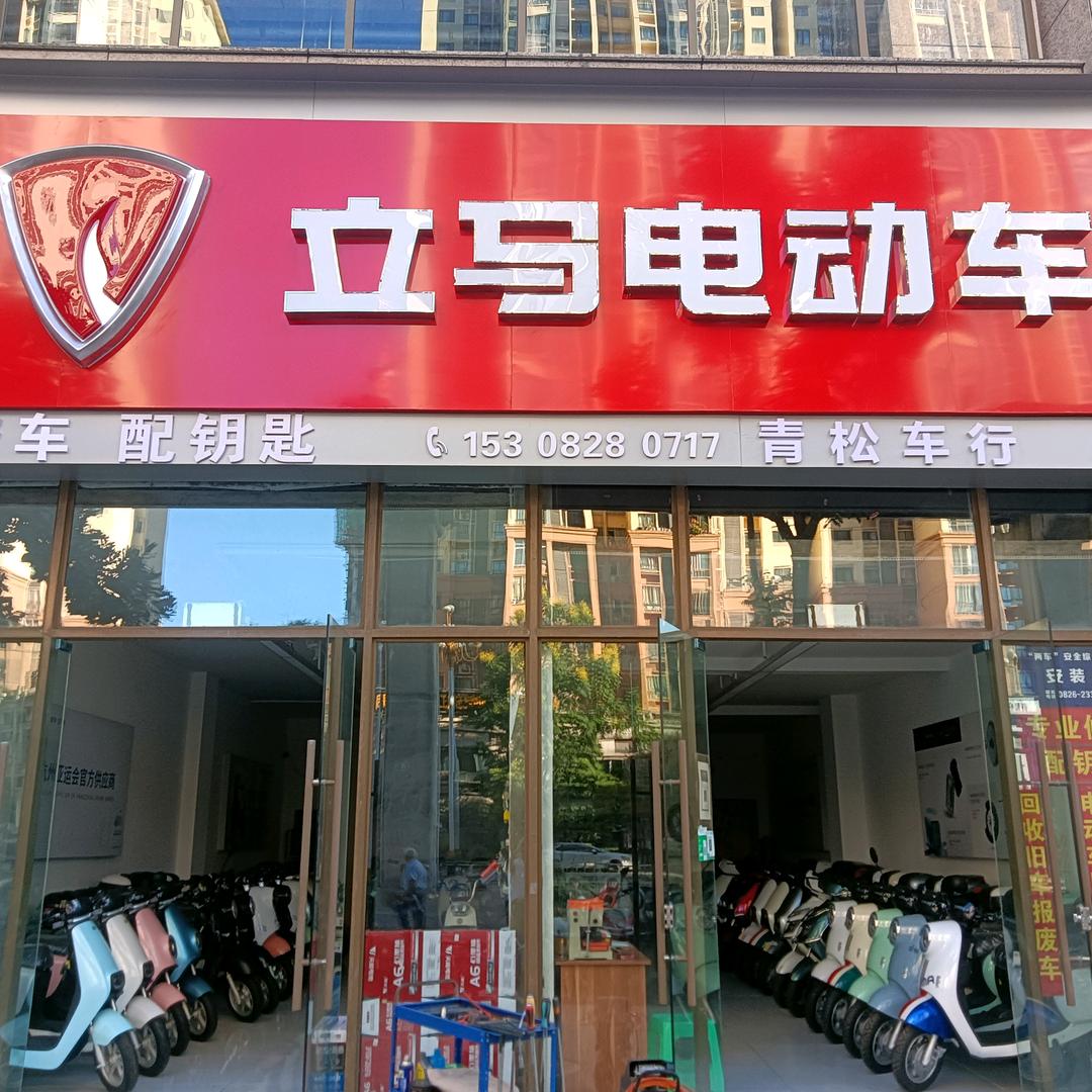 立马电动车 （枣山皇家府邸店）