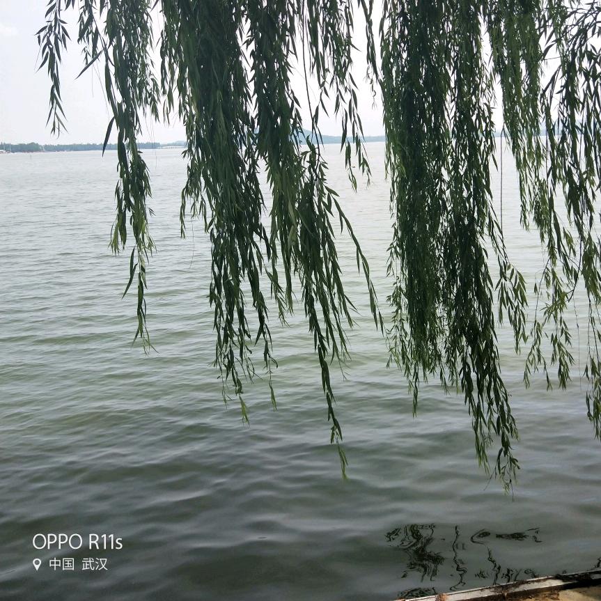 小桥流水