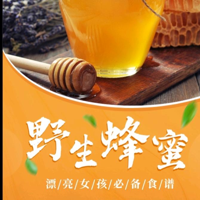 蜜蜂砖家