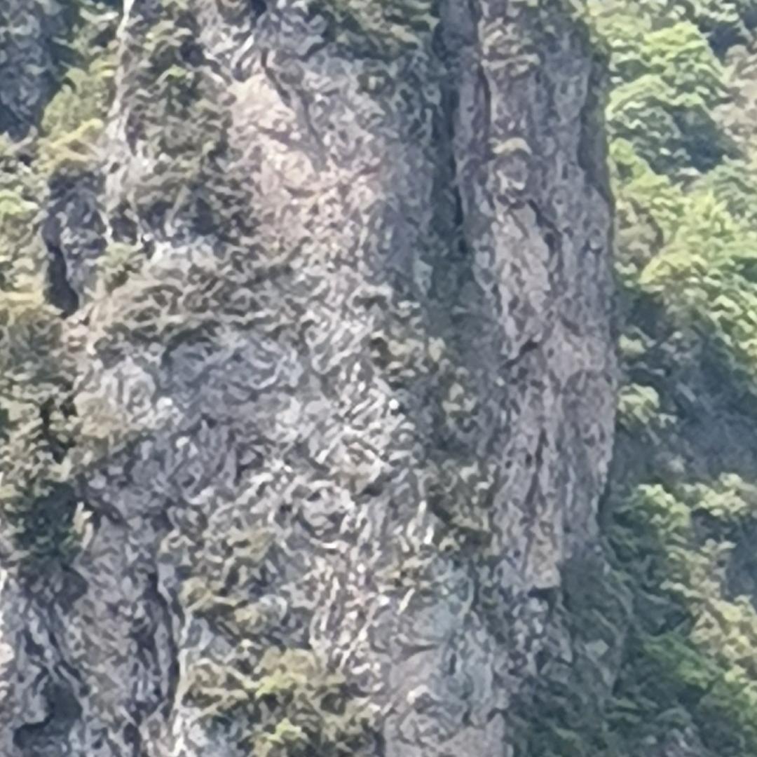 打工人