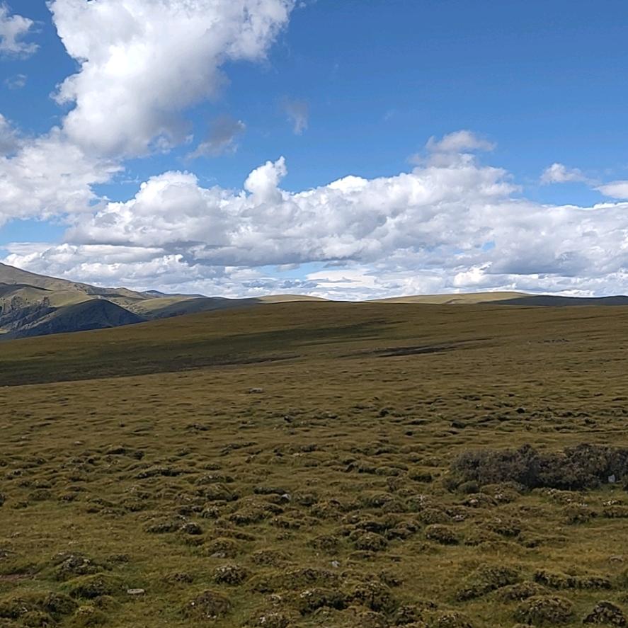 玉林耀哥蛇料生产