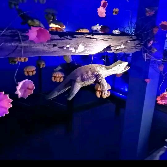 🌷流浪妹🐰四海为家🌷