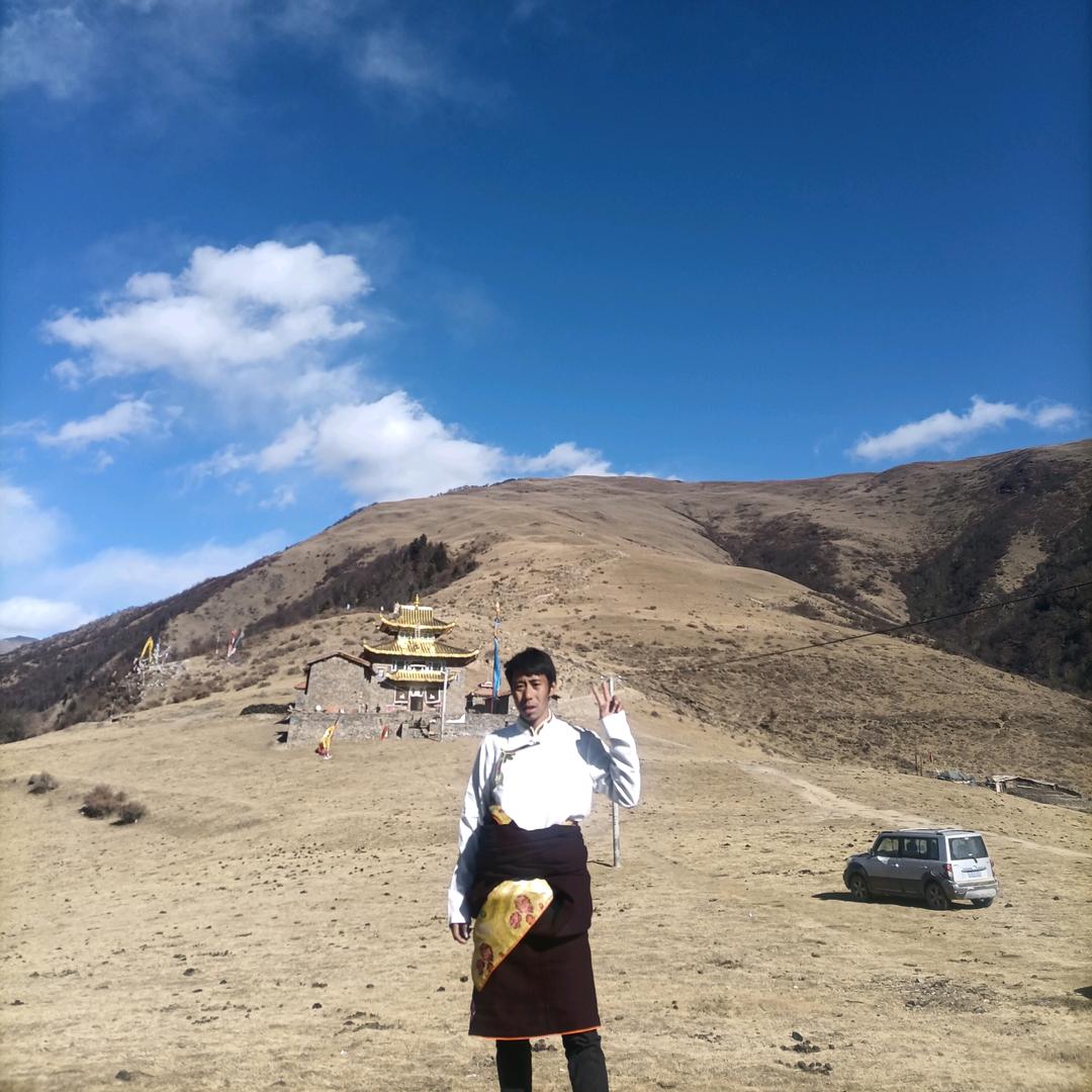 泽哥