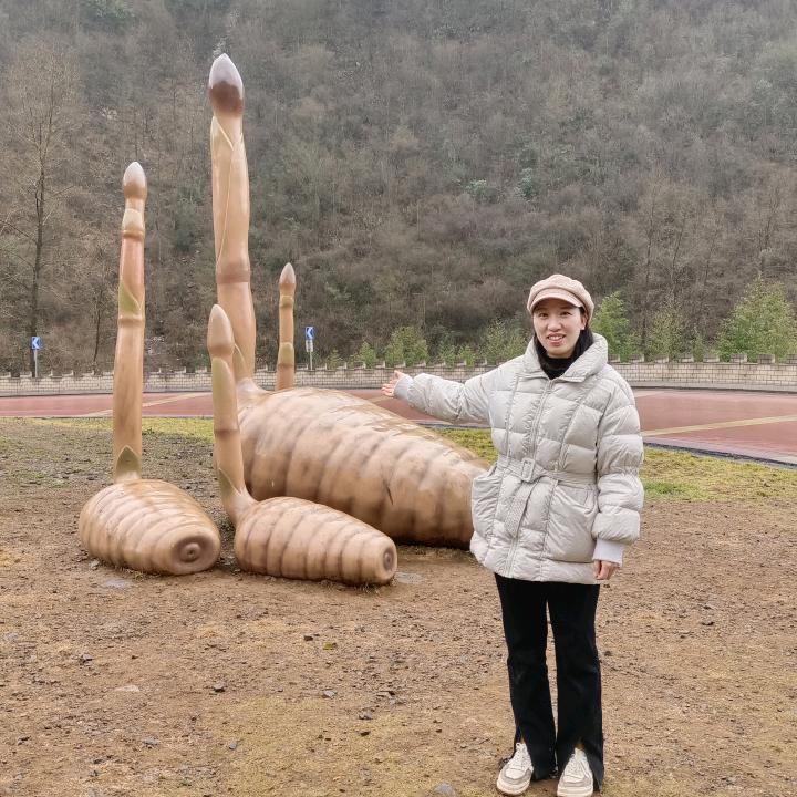 草伊颜滋补养生旗舰店