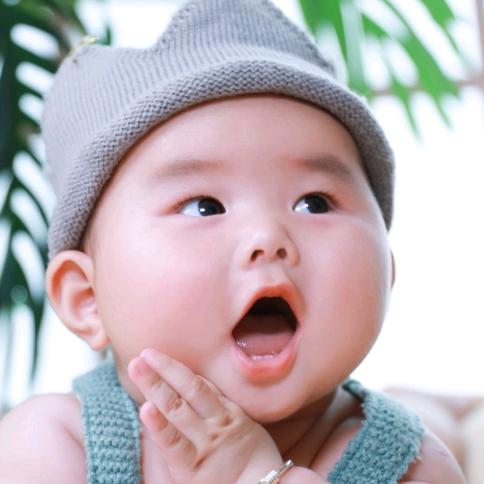 陈嘉嘉