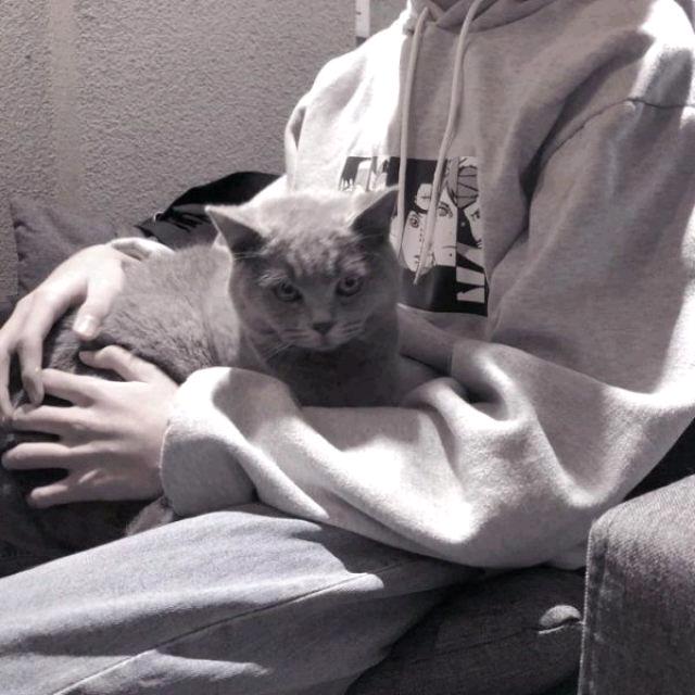 笨猪恶霸