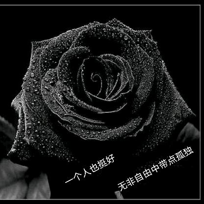 别抢我的大肘子