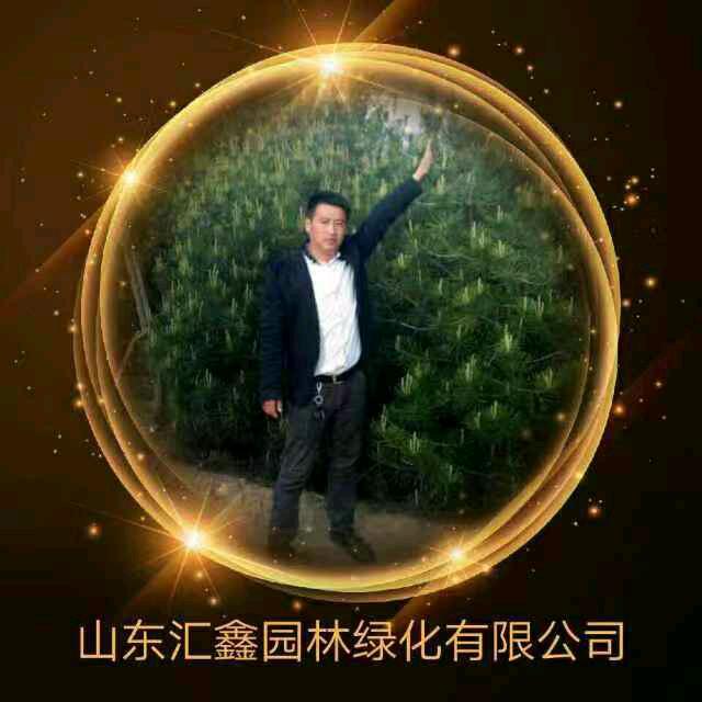 山东汇鑫苗木