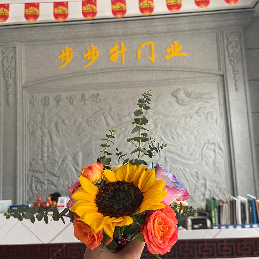 贵港步步升，杉杉