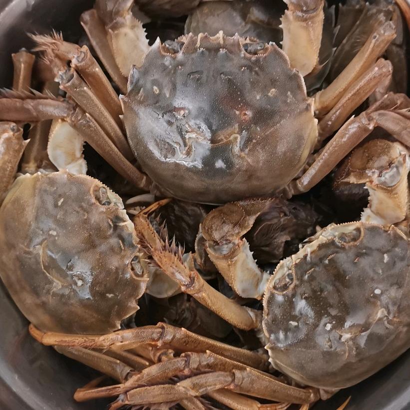 陈百百