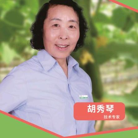 老胡.专攻黄瓜西红柿生理病