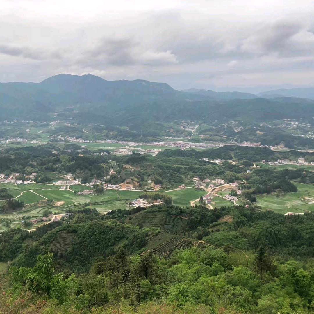 小山村的秘密