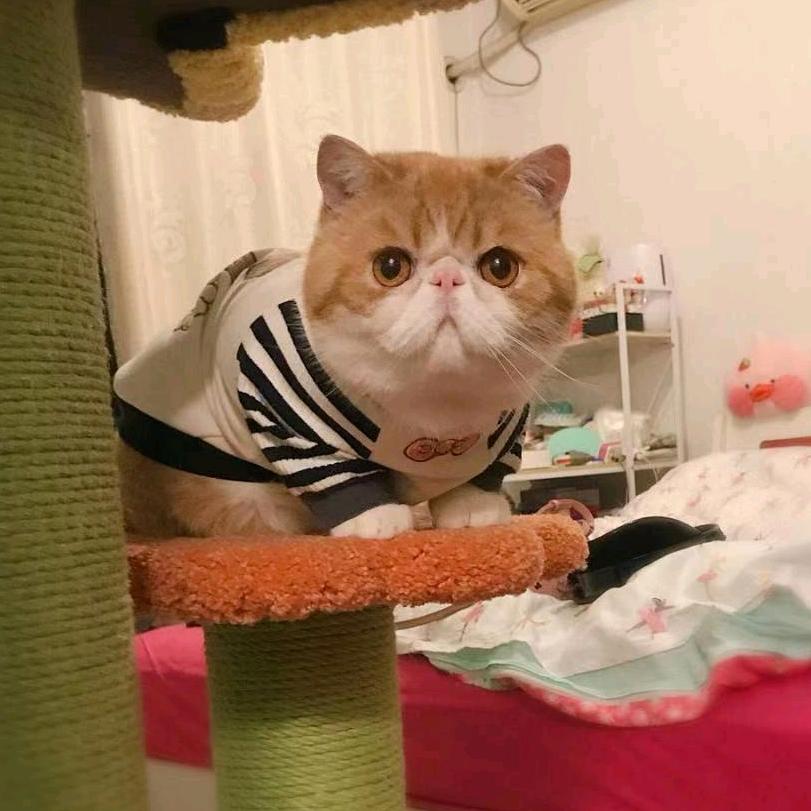 尚宝罗床品经营部