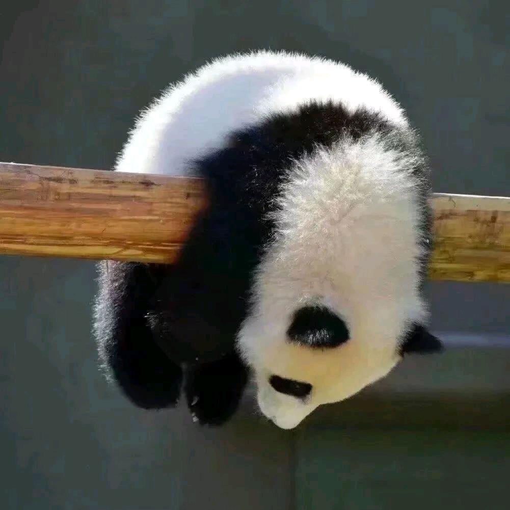 小楼又东风