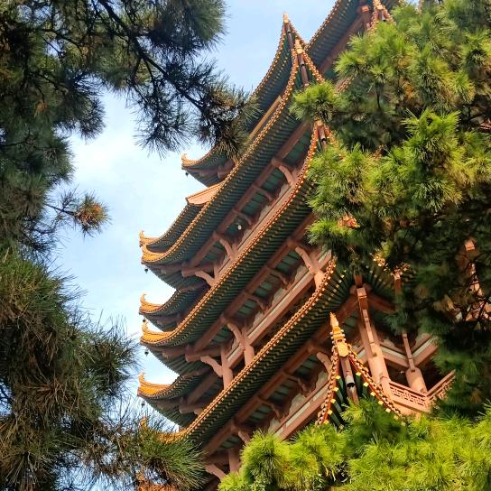 飞雁