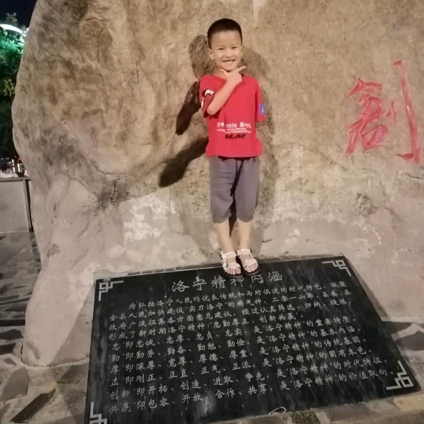 随风去流浪！