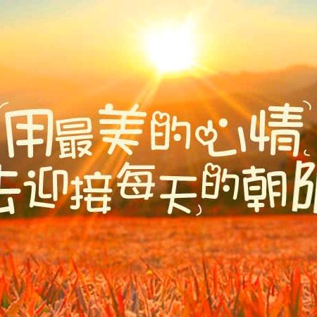 幸运草