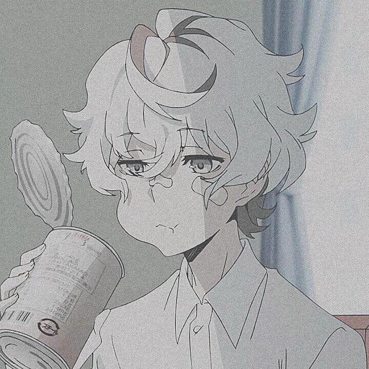 揽月去寻梦