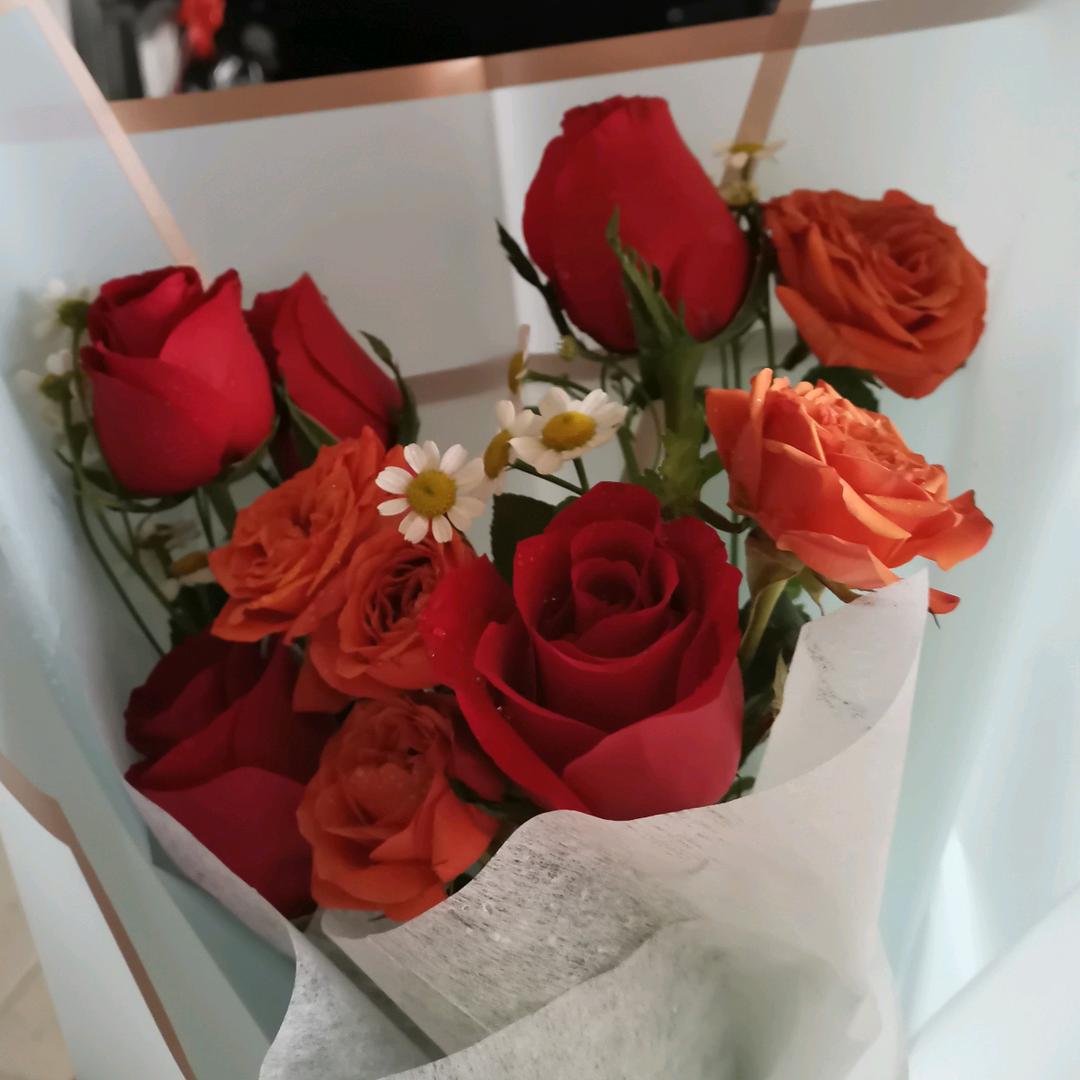 新城绿驹电动车