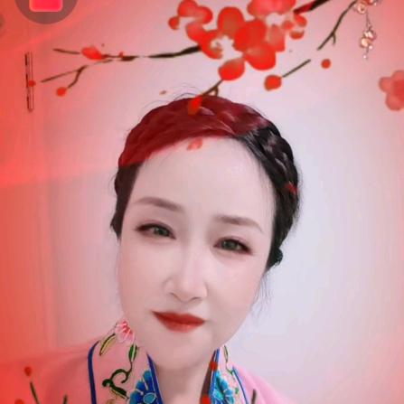瑞雪RZH