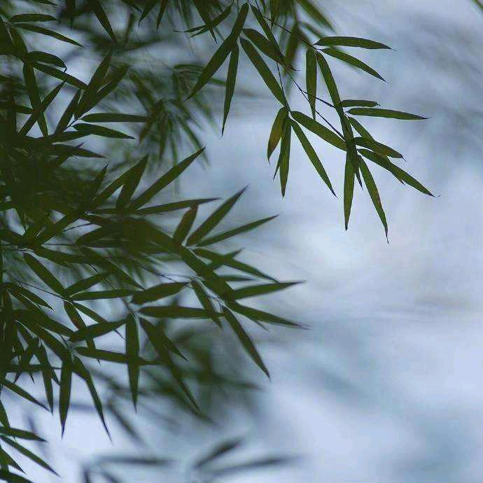 湖光山色😄😄