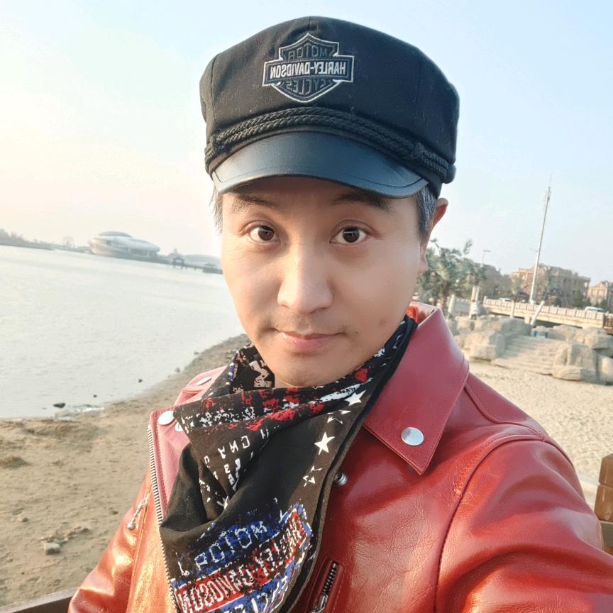 流浪狗的春天