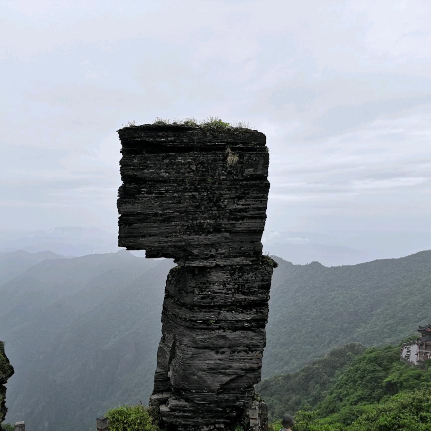 何金雨