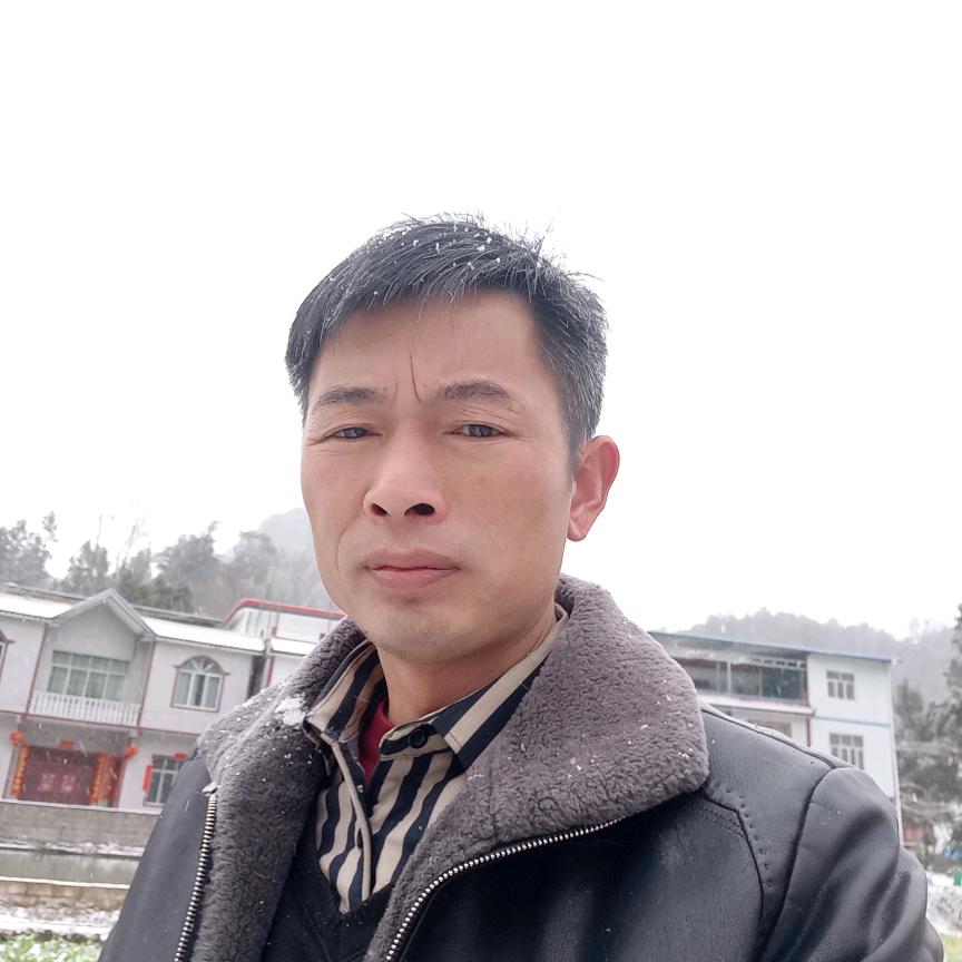 大老乡散养土鸡