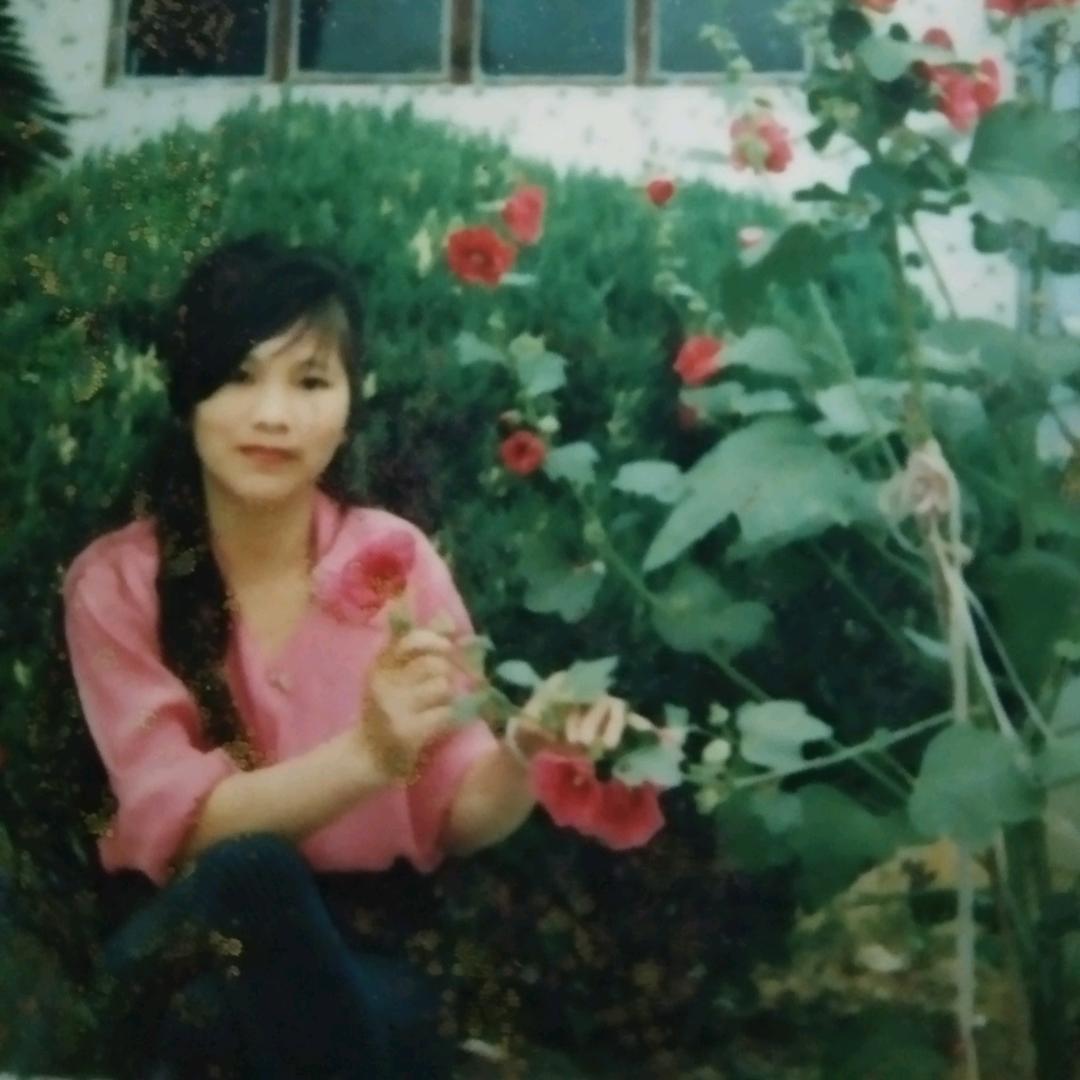 小白菜