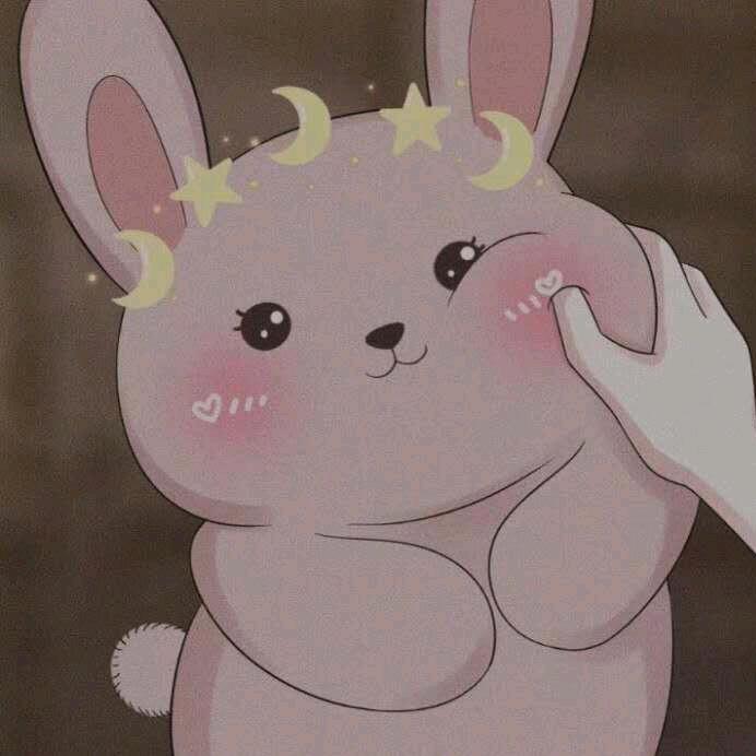 赵 良 人 、