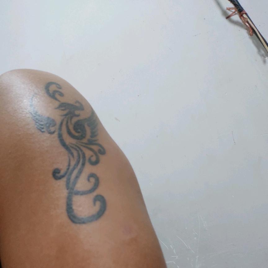 😎霺🏍💞时光取名燕双鹰