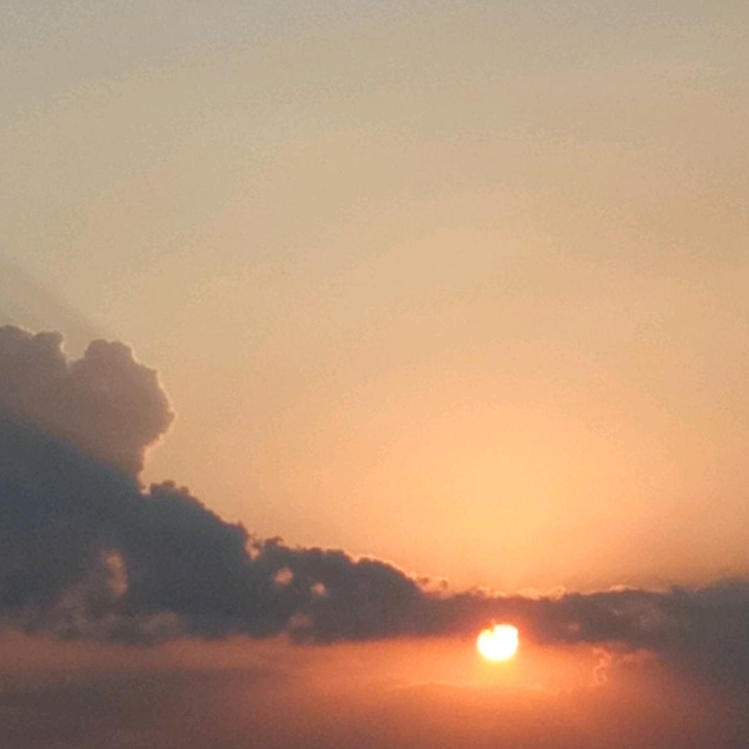 孤雁