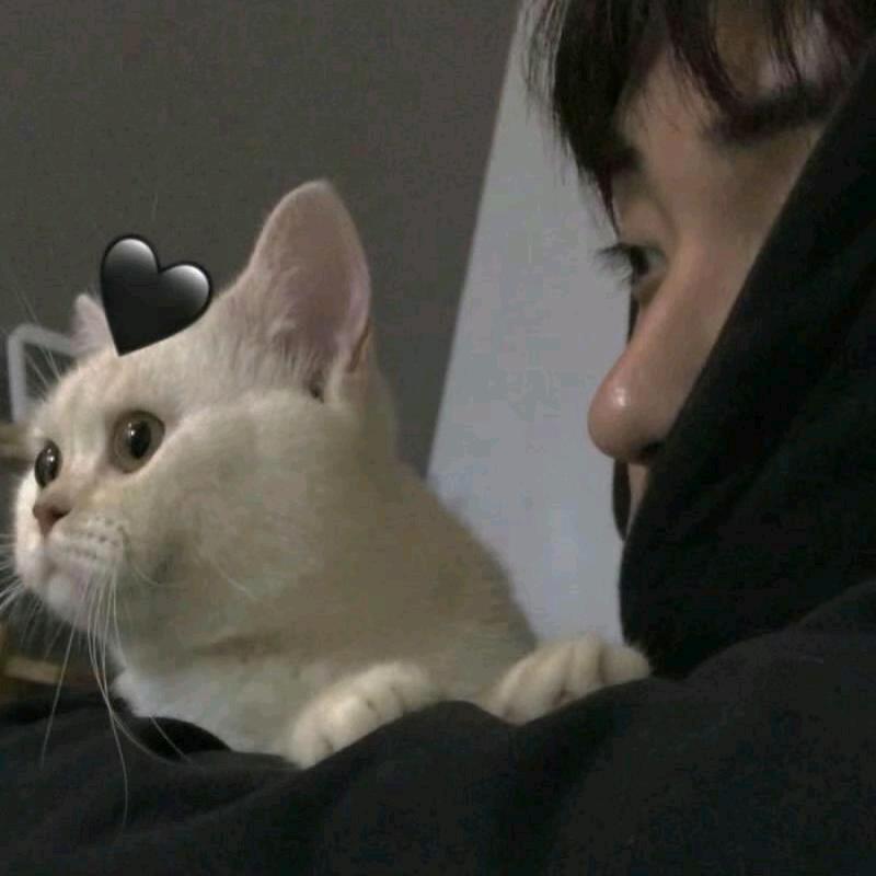 开飞机✈️的舒克