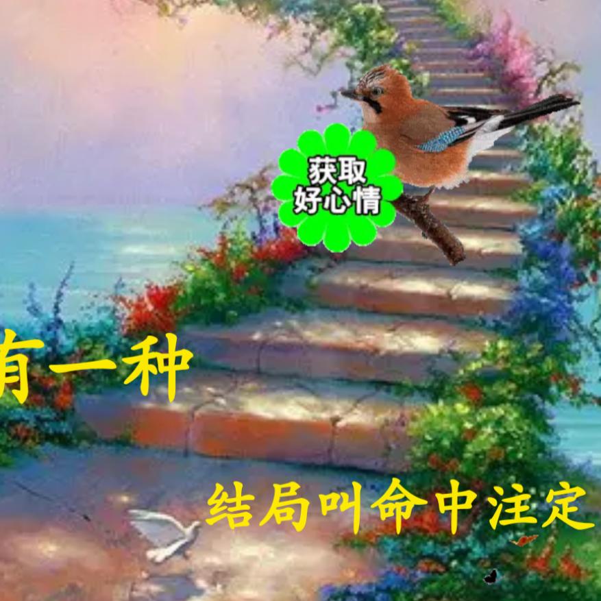 情定终身
