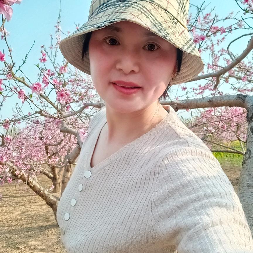 尉氏王姐暂停开播