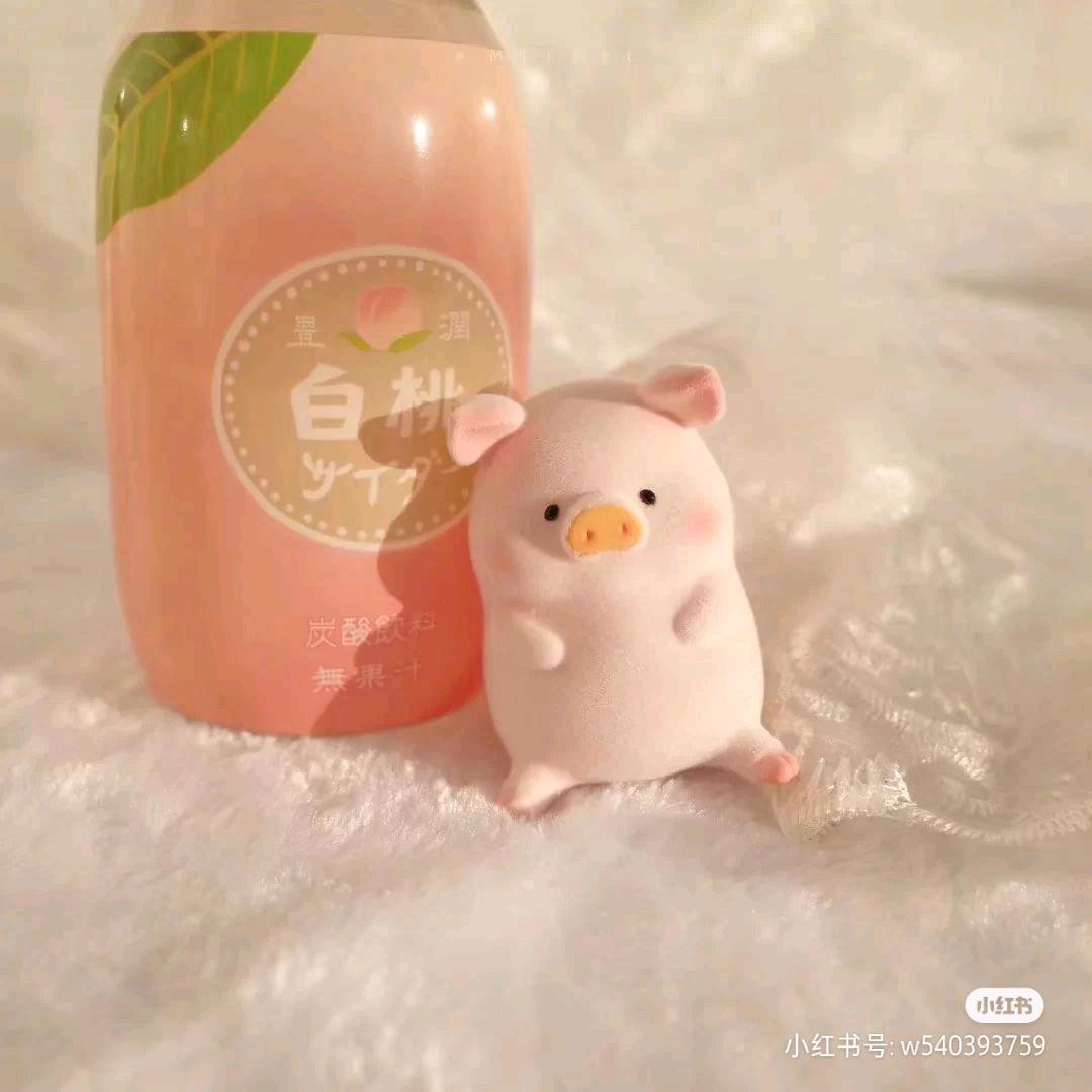 白茶清欢～