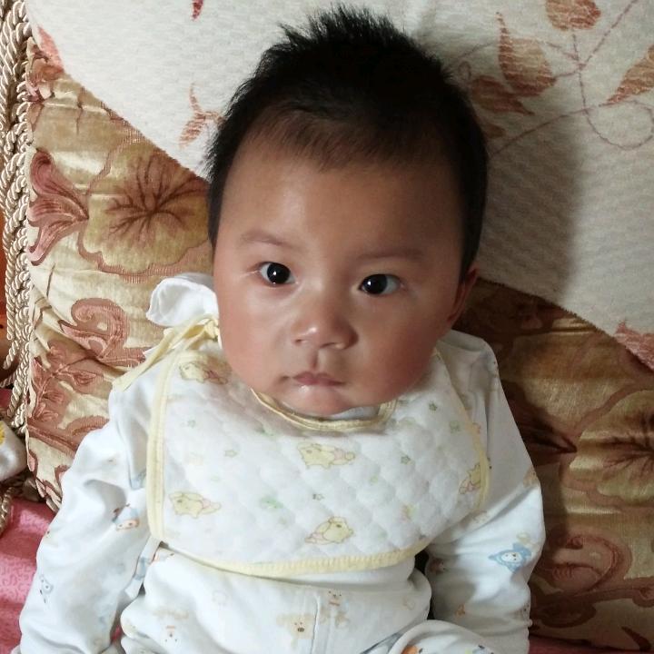 小龙