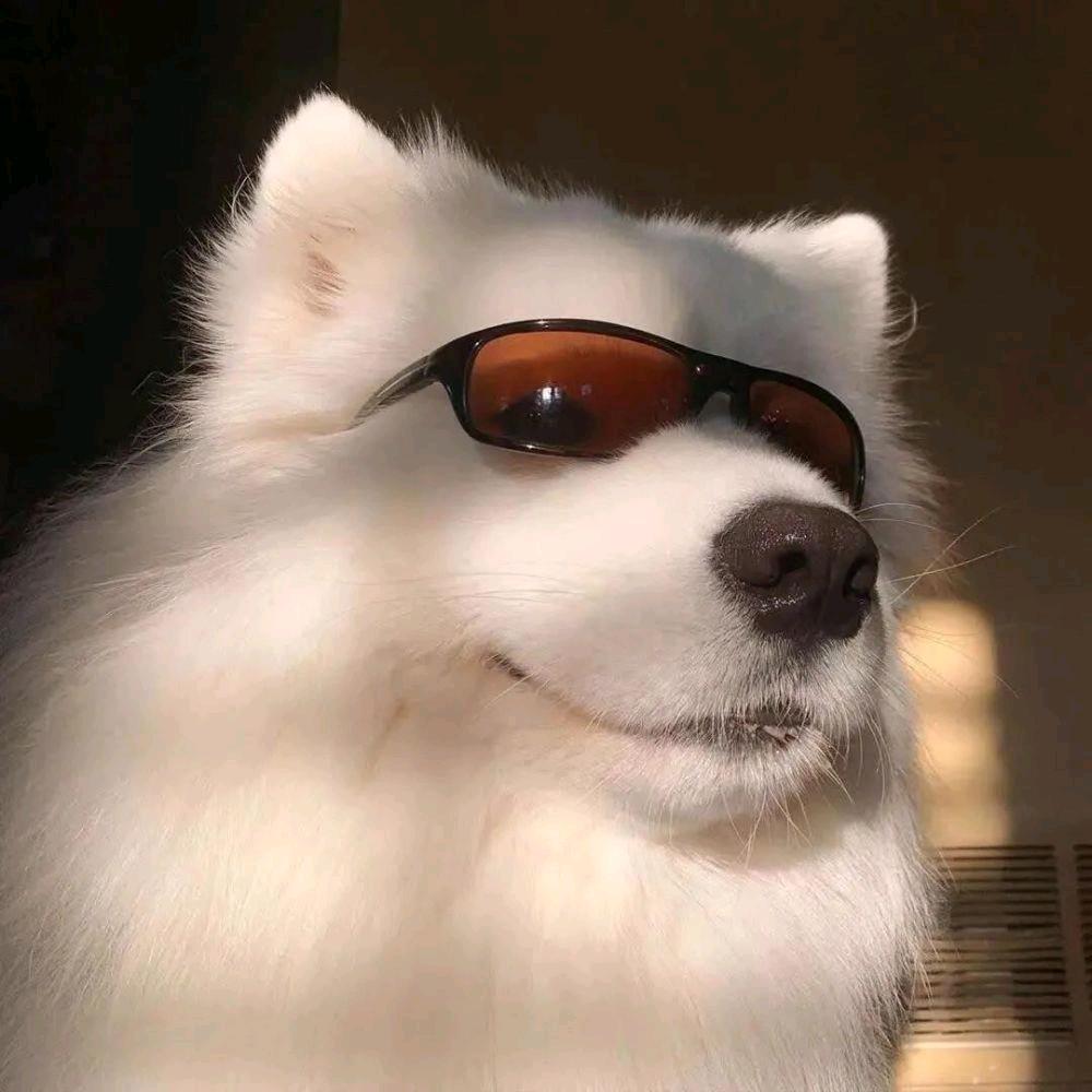 一生承诺